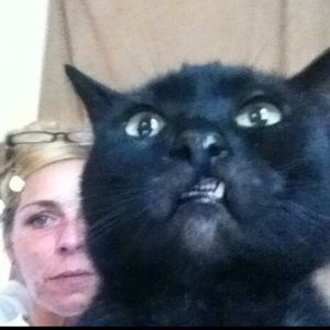 Meet your Posher, Joy